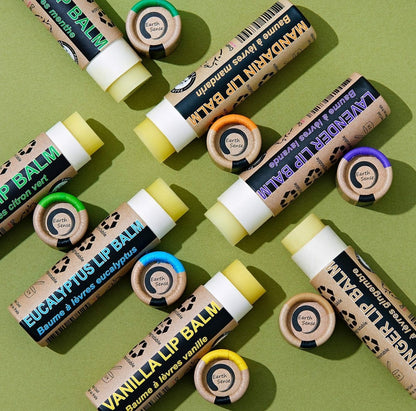 Organic Ginger Lip Balm 15ml-8